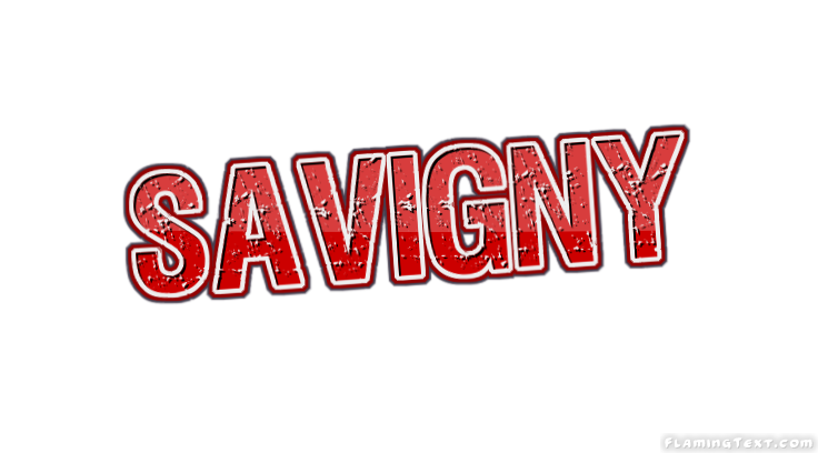 Savigny 市