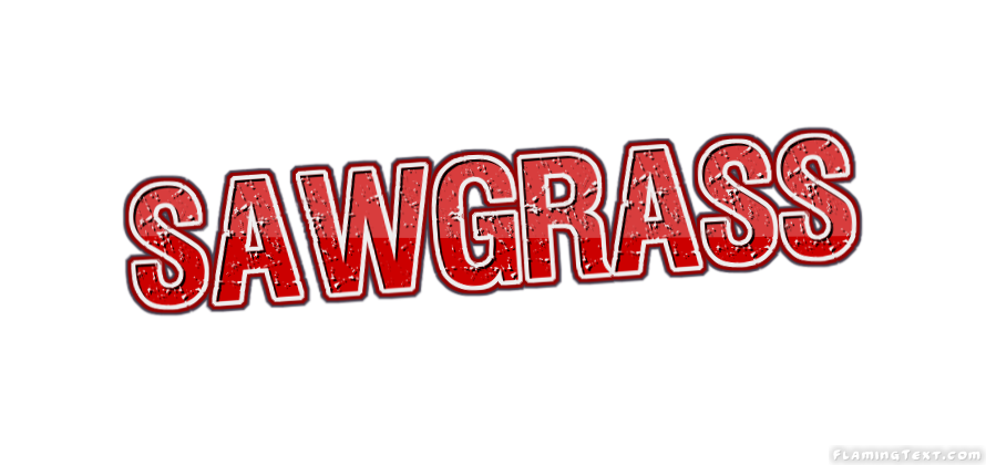 Sawgrass город