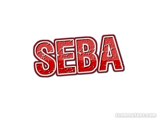 Seba 市