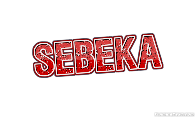 Sebeka City