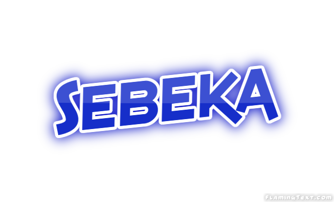 Sebeka City
