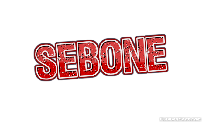Sebone City