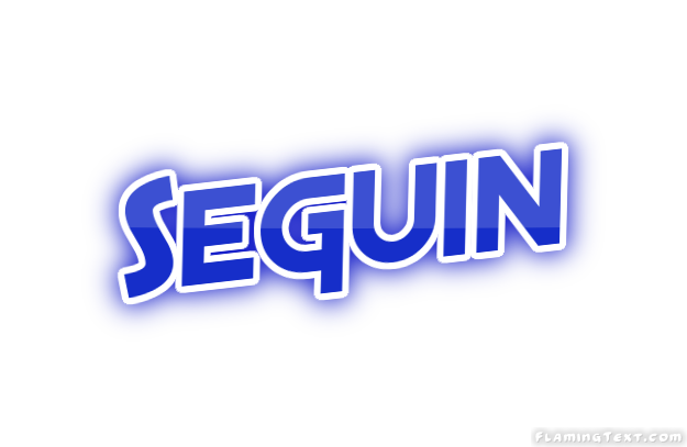 Seguin City