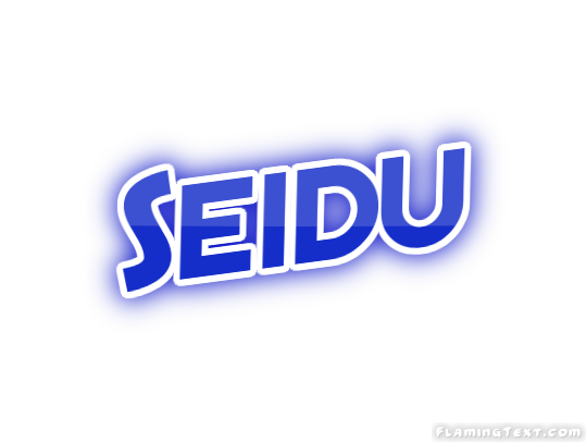 Seidu город