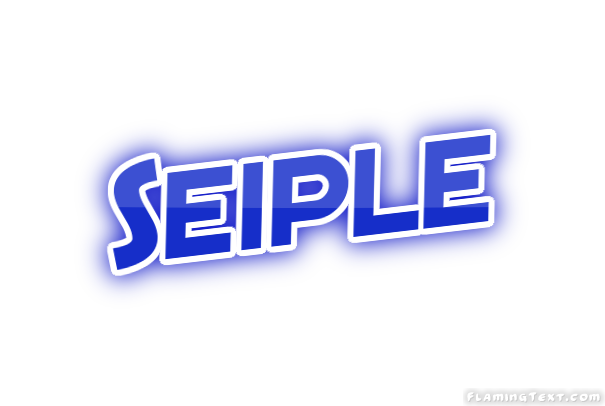 Seiple City