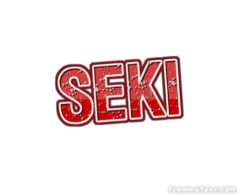 Seki City