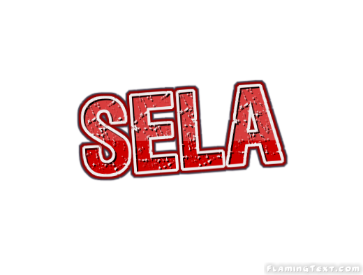 Sela City