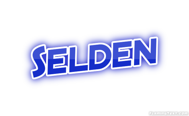 Selden City