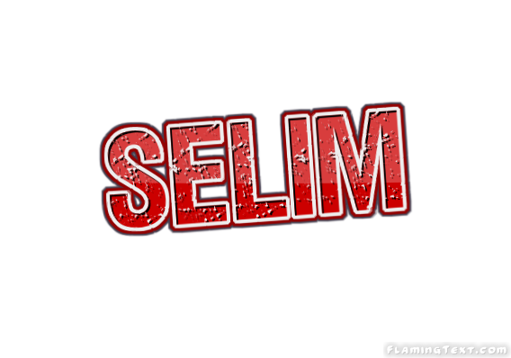 Selim 市