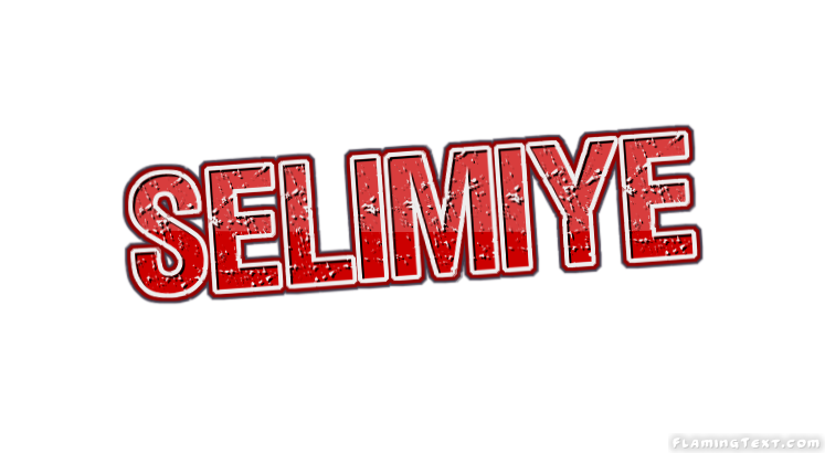 Selimiye 市