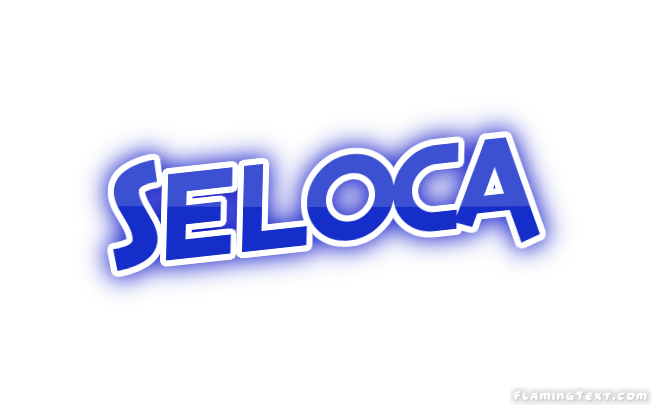 Seloca City