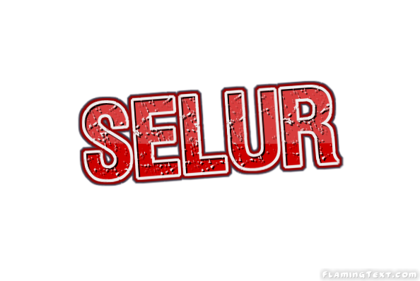 Selur City
