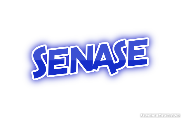 Senase город