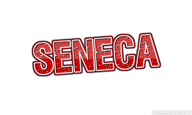 Seneca مدينة