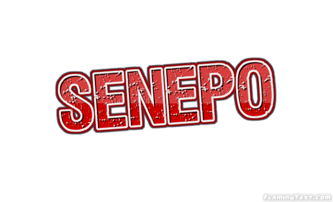 Senepo 市