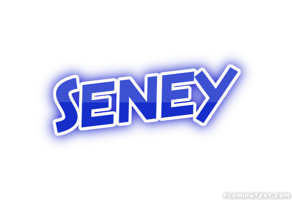 Seney مدينة
