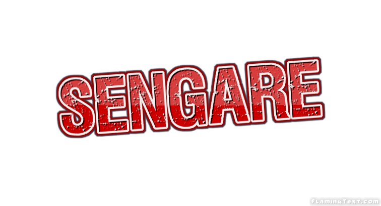 Sengare City