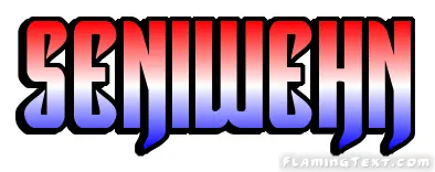 Seniwehn City