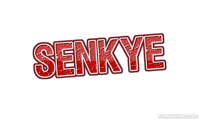 Senkye город