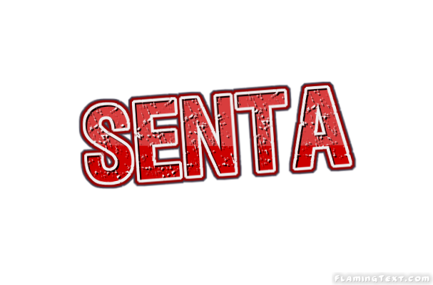 Senta 市