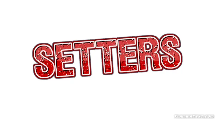 Setters 市