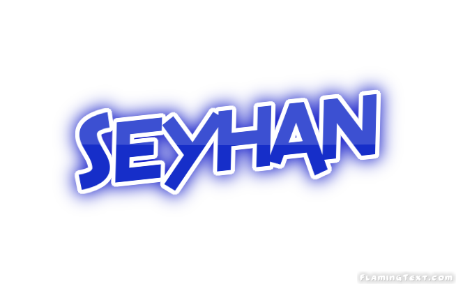 Seyhan City