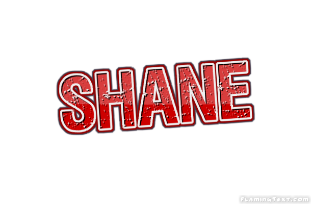 Shane город