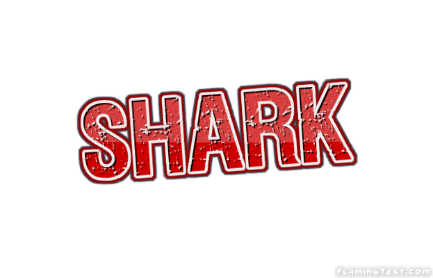Shark Faridabad