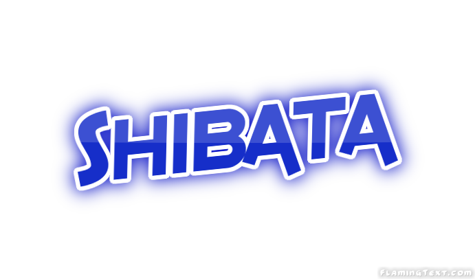 Shibata город