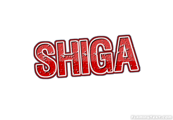 Shiga 市