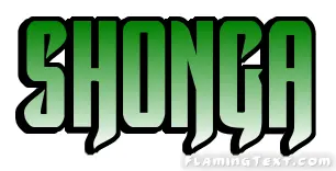 Shonga 市