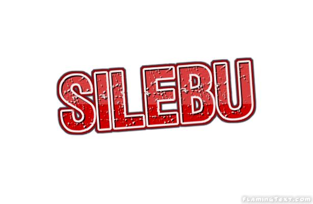 Silebu City