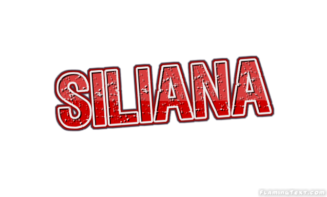 Siliana City