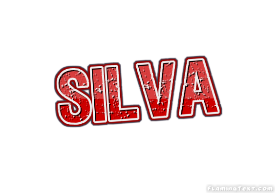 Silva город