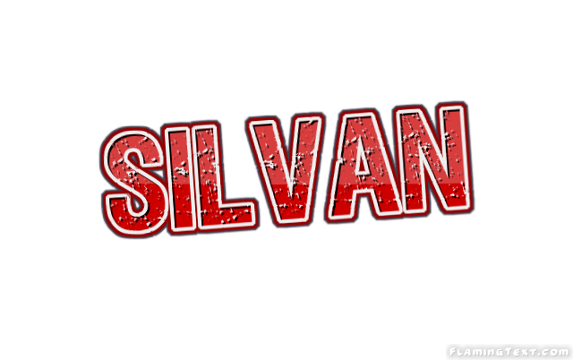 Silvan город