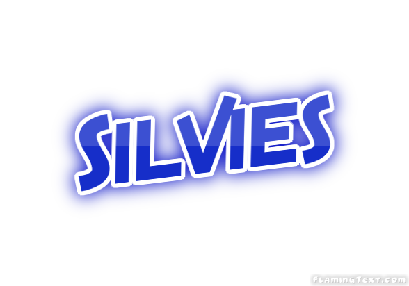 Silvies City
