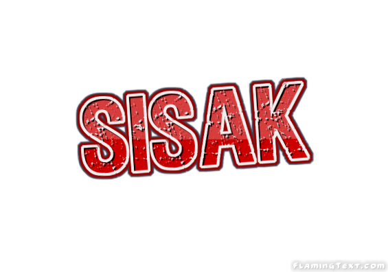 Sisak City