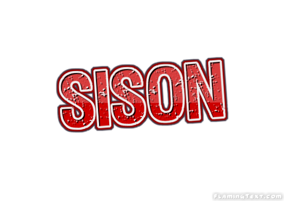 Sison City