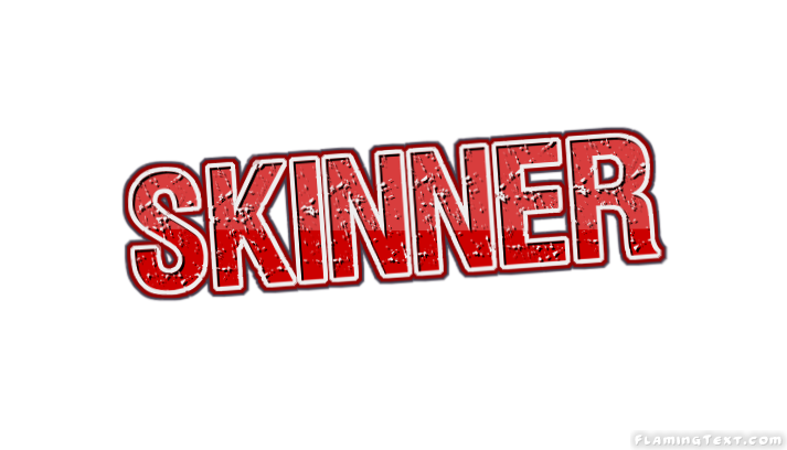 Skinner город