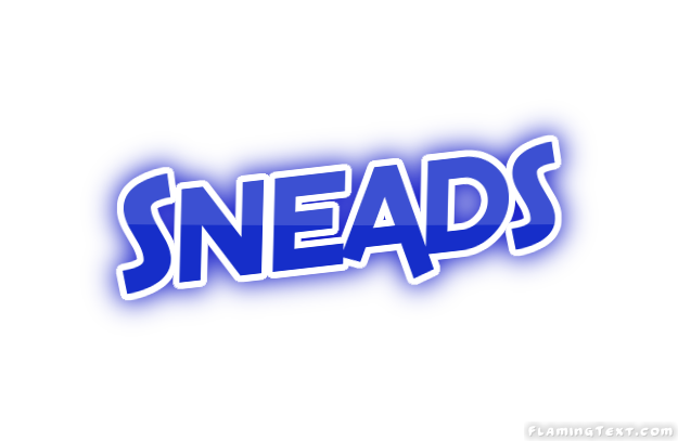 Sneads город