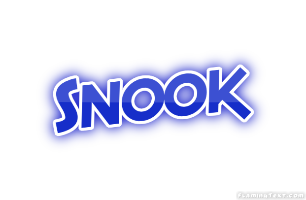 Snook City