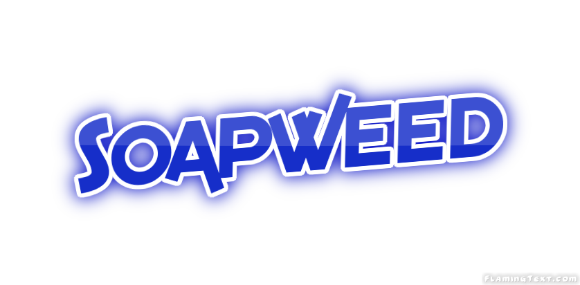 Soapweed Ville