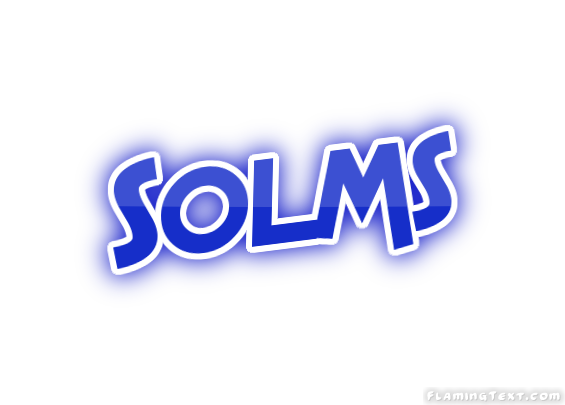 Solms город