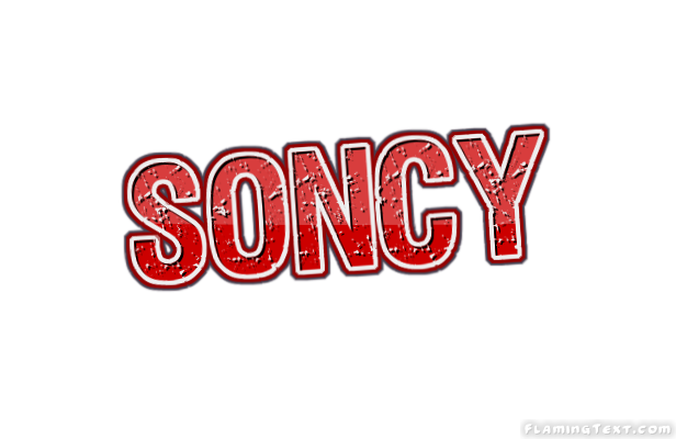 Soncy город