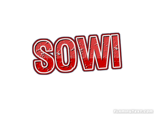 Sowi City