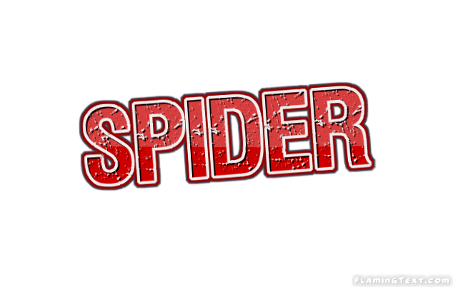 Spider Ciudad