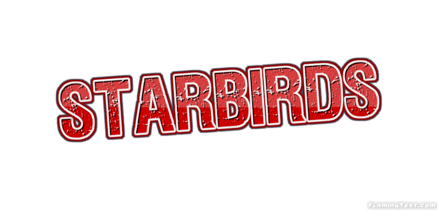 Starbirds Faridabad