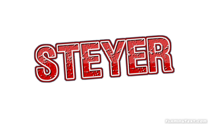 Steyer город