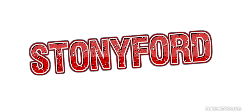 Stonyford 市