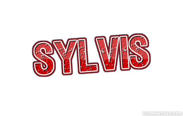 Sylvis City